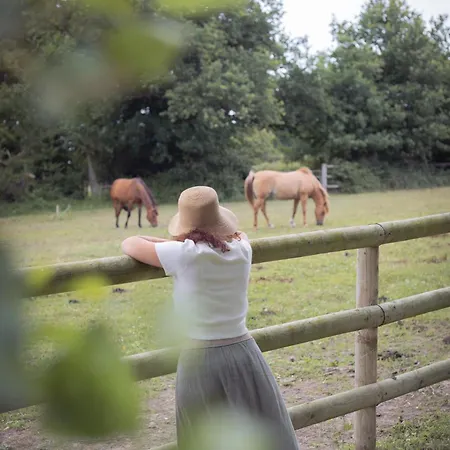 Pepiite Bocage Normand - Cosy Nature & *