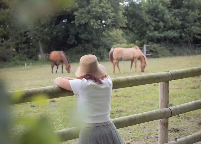 Pepiite Bocage Normand - Cosy Nature & *